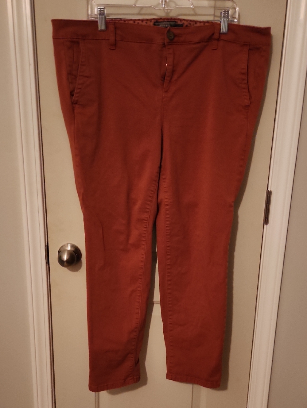 torrid Rust-Orange Ankle Chino Jeans